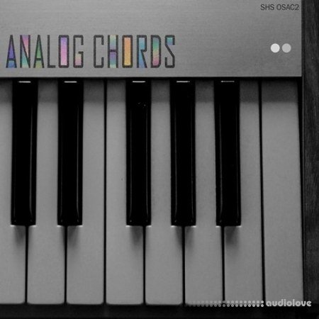 ShamanStems Origin Series Analog Chords 2