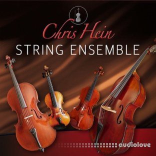 Chris Hein Ensemble Strings