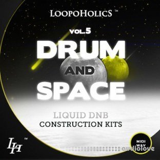 Loopoholics Drum and Space Vol.5 Liquid DnB Construction Kits