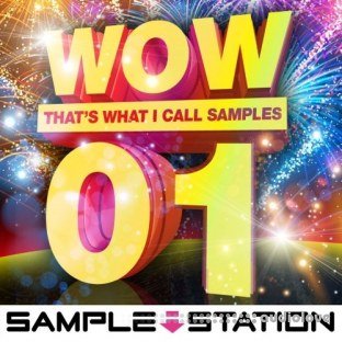 Sample Station Wow EDM Samples