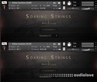 Musical Sampling Soaring Strings