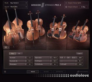 Native Instruments Session Strings Pro 2