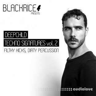 Blackrice Deepchild Techno Signatures Vol.2