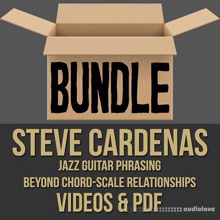 Steve Cardenas Guitar Masterclass Videos 1, 2 & PDF Bundle