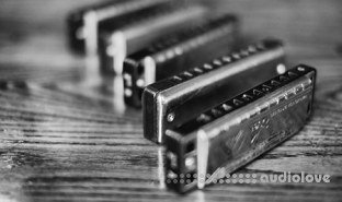 Udemy 30 day challenge learn to play the harmonica in one month