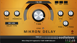 112dB Mikron Delay