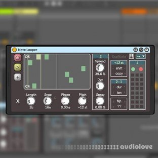 Isotonik Studios NOTE LOOPER