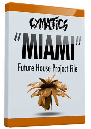 Cymatics Miami Future House