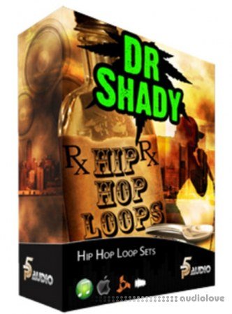 P5 Audio Dr Shady Hip Hop Loop