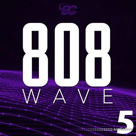 Big Citi Loops 808 Wave 5