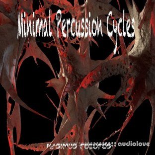 Nasimus Records Minimal Percussion Cycles