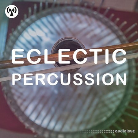 Noiiz Eclectic Percussion