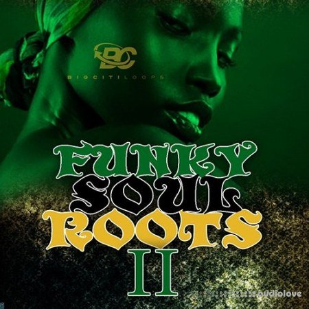 Big Citi Loops Funky Soul Roots 2