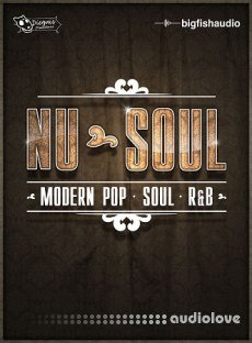 Big Fish Audio Nu-Soul