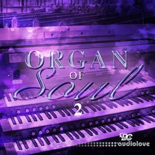 Big Citi Loops Organ Of Soul 2