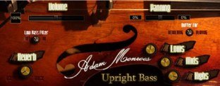 Adam Monroe Music Upright bass