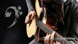 Udemy Percussive Fingerstyle on Acoustic Bass