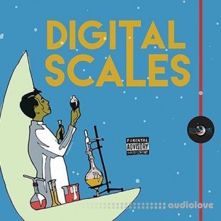 Day One Audio Digital Scales