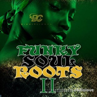 Big Citi Loops Funky Soul Roots 2