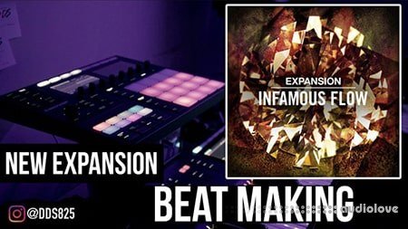 Native Instruments Expansion INFAMOUS FLOW