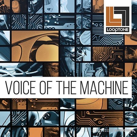 Looptone Voice of the Machine