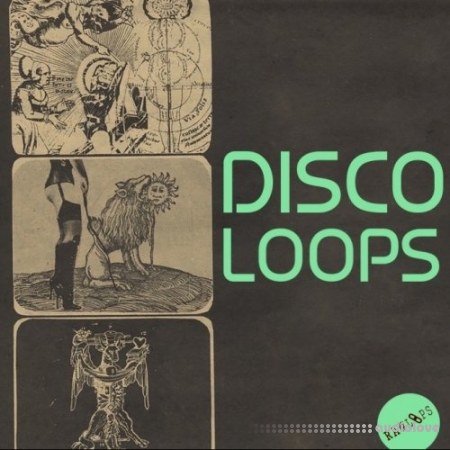 Raw Loops Disco Loops