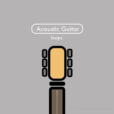 Samplified All Acoustic Guitar Chords and Loops