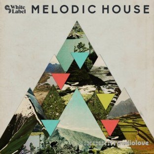SM White Label Melodic House
