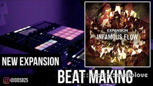 Native Instruments Expansion INFAMOUS FLOW