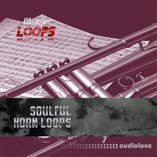 MVP Loops Soulful Horn Licks Vol.1