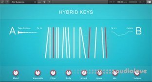 Native Instruments Hybrid Keys