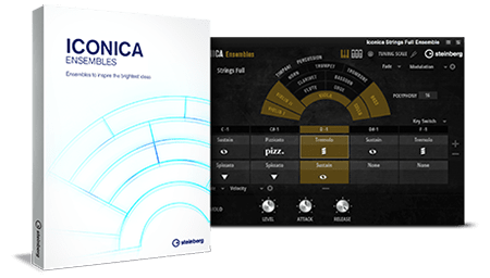 Steinberg Iconica Ensembles