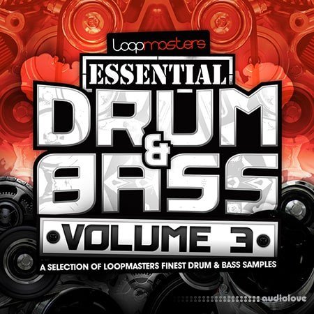 Loopmasters Essentials 41 Drum and Bass Vol.3