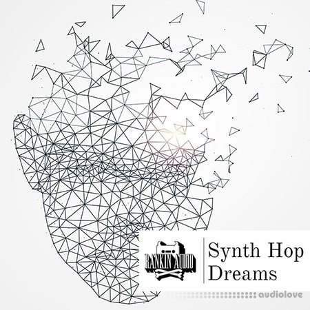 Rankin Audio Synth Hop Dreams