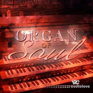 Big Citi Loops Organ Of Soul