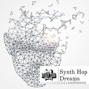 Rankin Audio Synth Hop Dreams