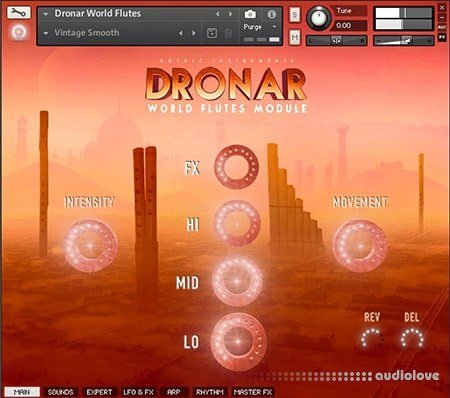 Gothic Instruments Dronar World Flutes Module