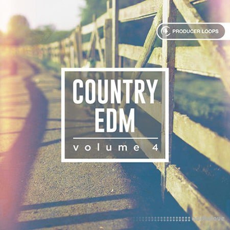 Producer Loops Country EDM Vol.4