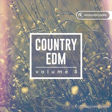 Producer Loops Country EDM Vol.3