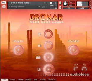 Gothic Instruments Dronar World Flutes Module