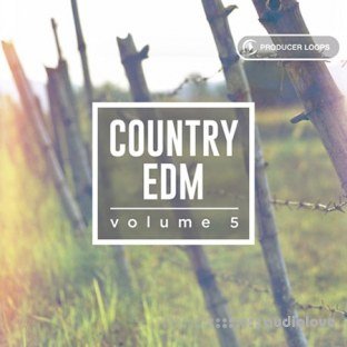 Producer Loops Country EDM Vol.5