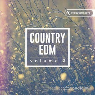 Producer Loops Country EDM Vol.3