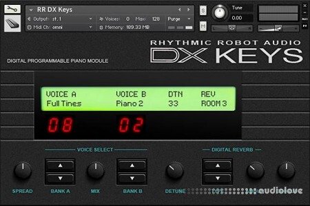 Rhythmic Robot Audio DX Keys