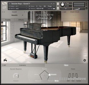 e-instruments Session Keys Grand Y