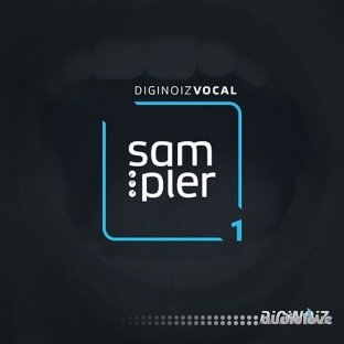 Diginoiz Vocal Sampler