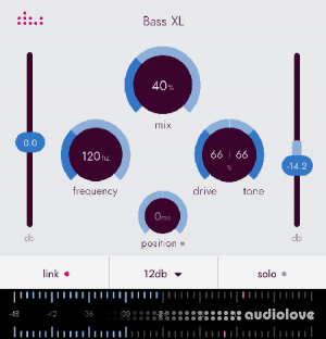 Denise Bass XL Full