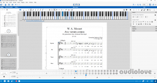 Capella-software Capella