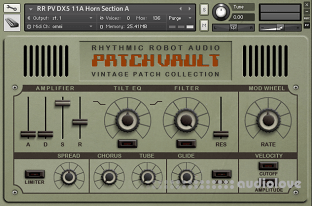 Rhythmic Robot Audio PatchVault DX5 Factory Set A