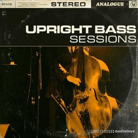 Touch Loops Upright Bass Sessions