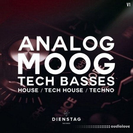 Dienstag Analog Moog Tech Basses 1